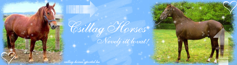 Csillag Horses Lnevelde
